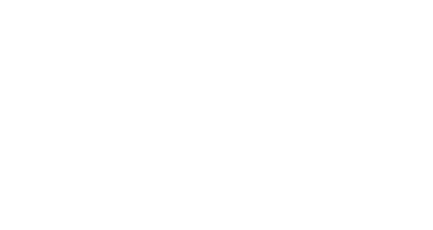 NexFlow Robotics